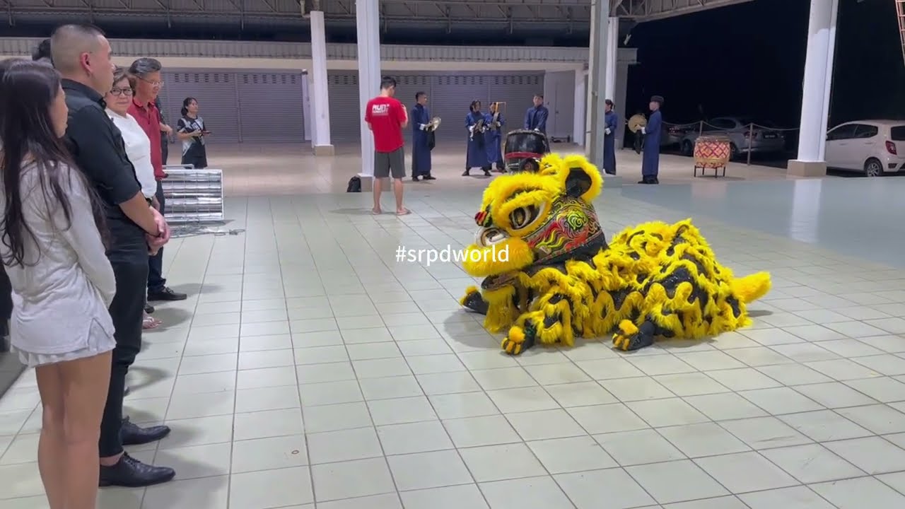 New Lion Eye Dotting Team Chsaa 雪蘭莪公中校友會龍獅團 新獅點睛