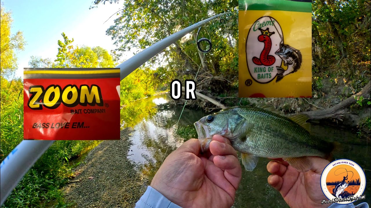 Lure Wars: Creek Edition 🎣 Zoom vs Creme Baits!!