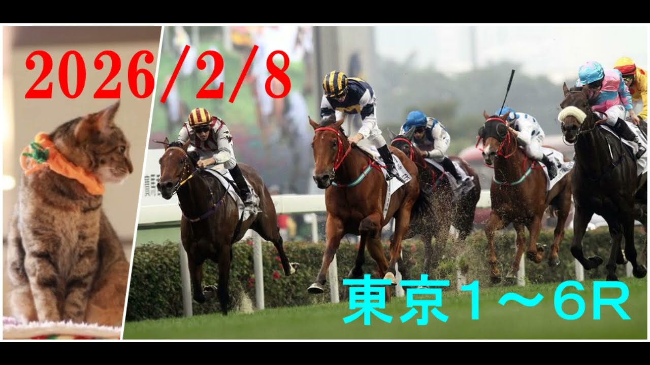 2026/2/8　東京１～６レース　枠順確定