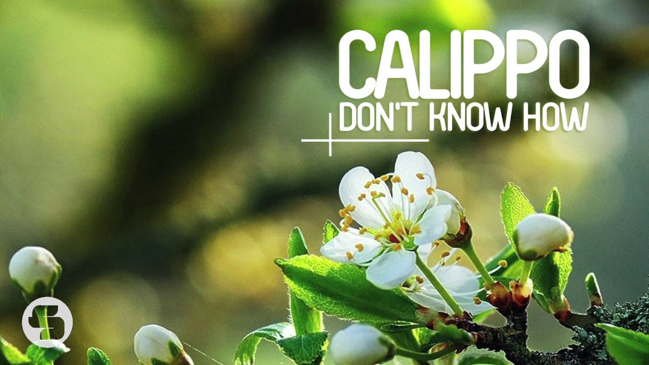 Calippo - Don't Know How (Radio Edit)