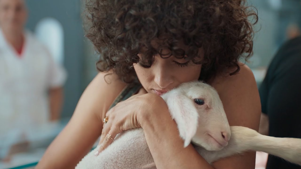 Extra fresh - Vegan Friendly - Make the Connection - UK
