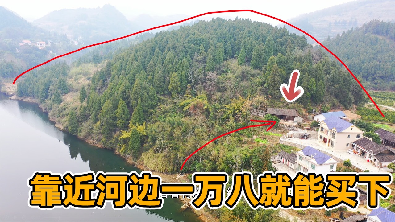 一时冲动花一万八卖了两栋房子，如今没时间改造，以原价转让却无人问津