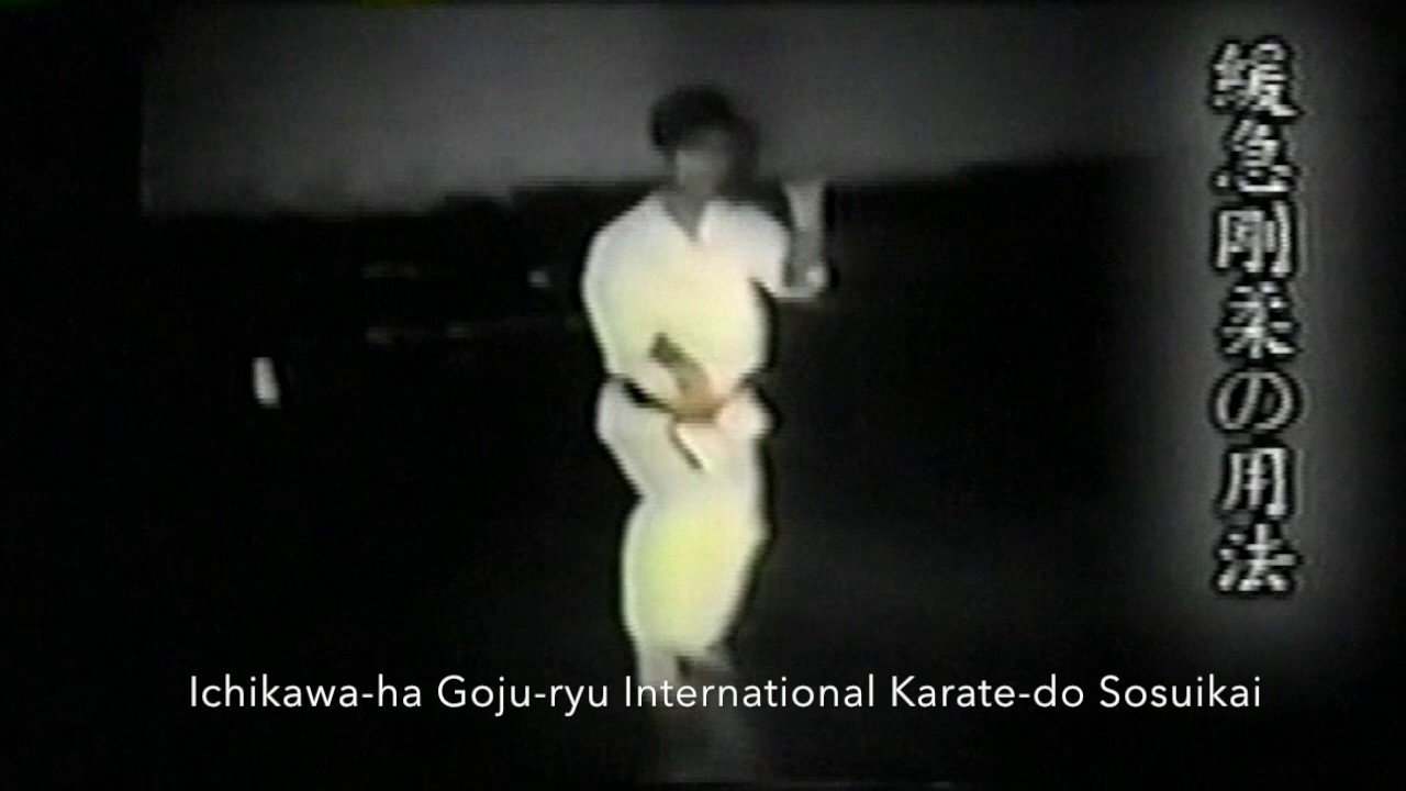 Izumigawa Hirofumi Sensei Performing Kururunfa Kata