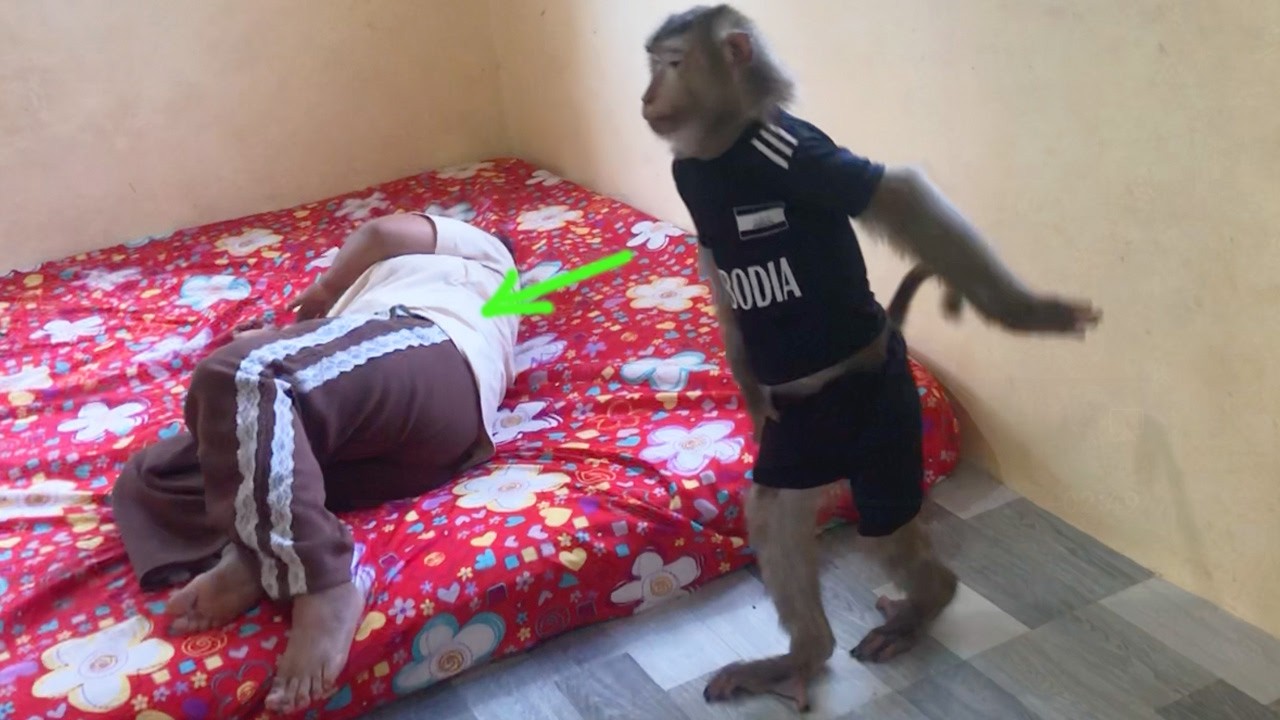 Hilarious Jason Activate Nonchalant Sorry Mom After Kicking