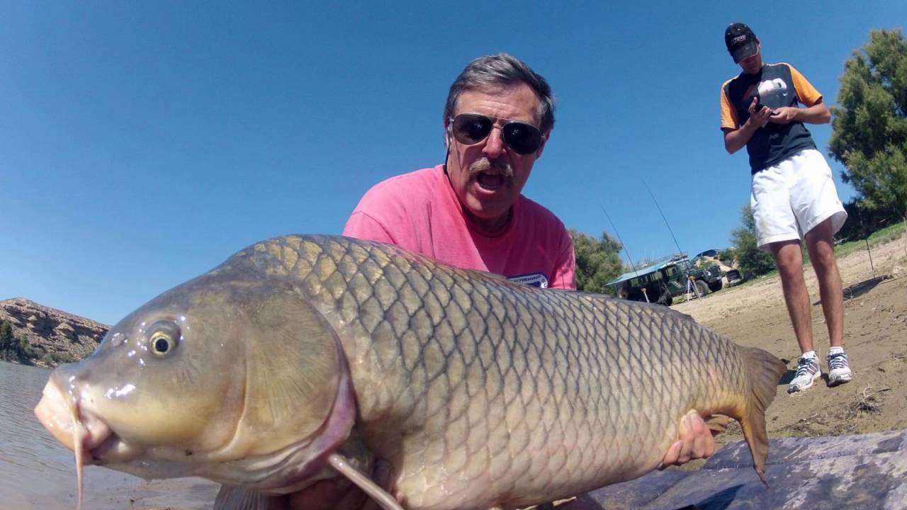 Ep  94 Graeme Pullen, Carp Falacies