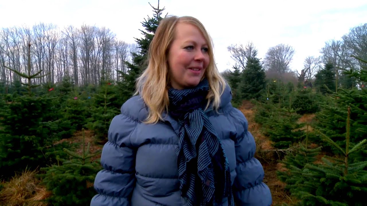 Firmajul på Ryegaard og Trudsholm Godser