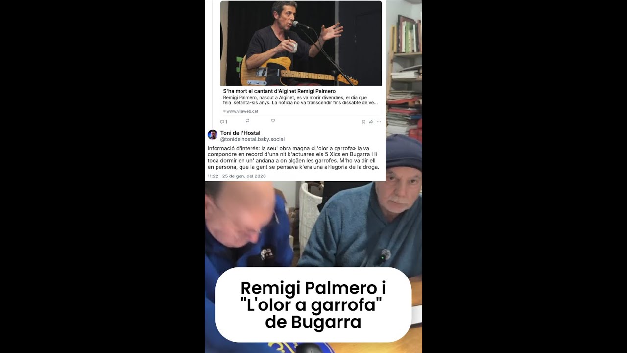 Remigi Palmero i 