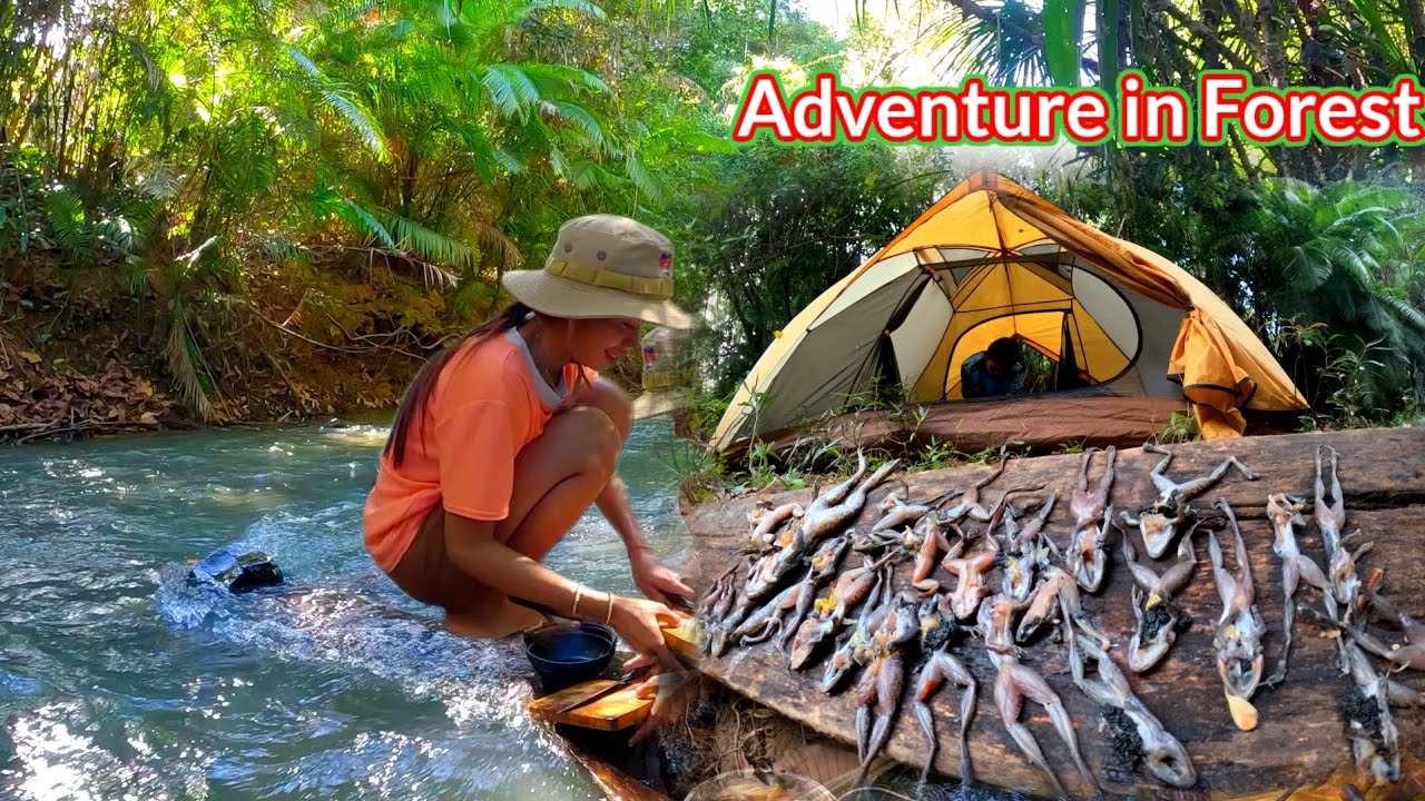 Camping adventure for a night in the jungle