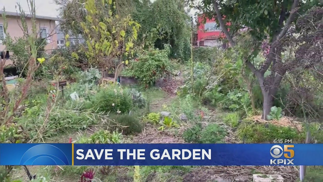 Berkeley Neighbors Try To Save Beloved Community Garden From Being Sold Away