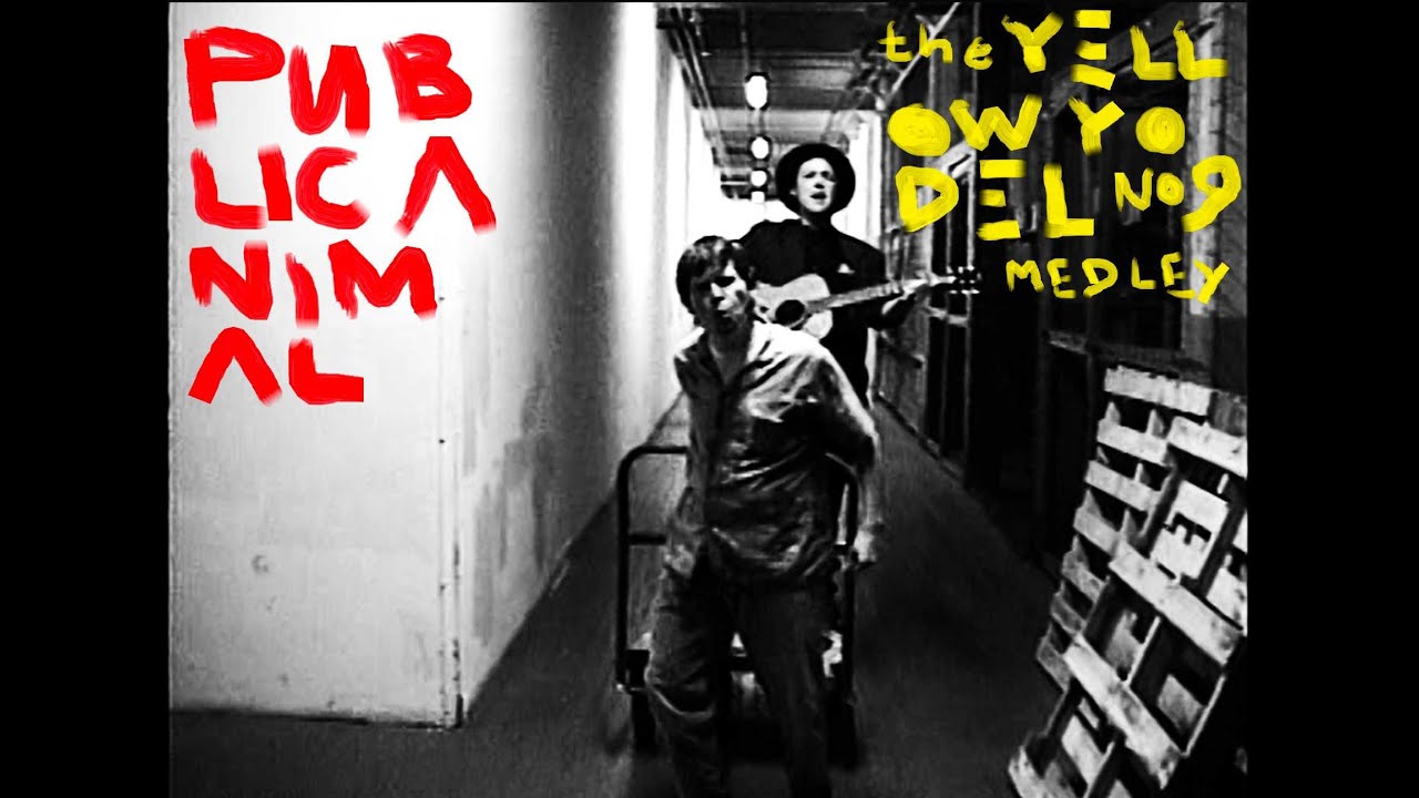PUBLIC ANIMAL: THE YELLOW YODEL NO 9 MEDLEY