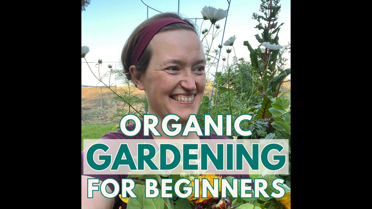 031: Gardening While Renting: 5 Tips To Make It Work