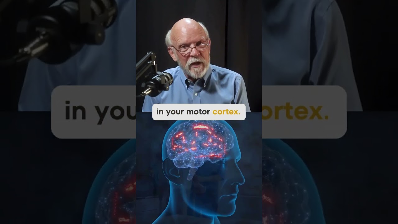 The $9 Therapy For Brain Injury