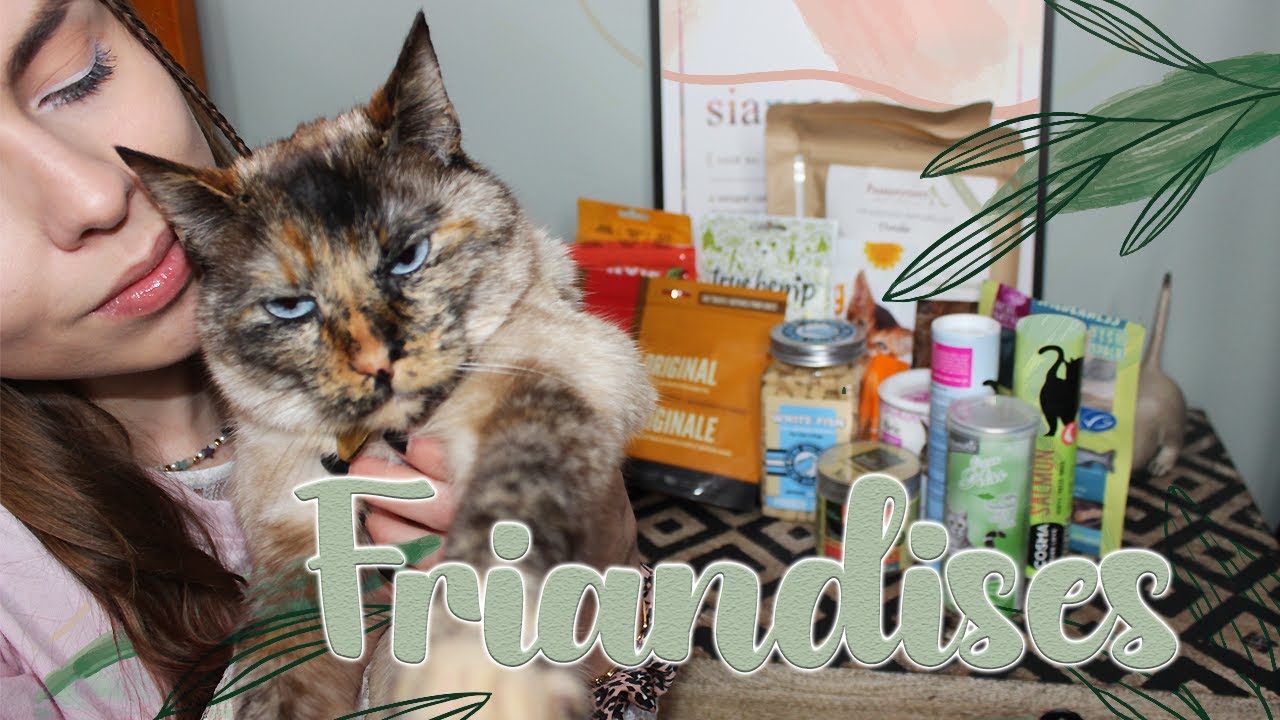 Ma Sélection FRIANDISES NATURELLES 🍃 en Détail 🐱