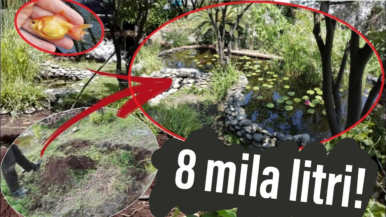 NUOVO LAGHETTO DA 8 MILA LITRI!