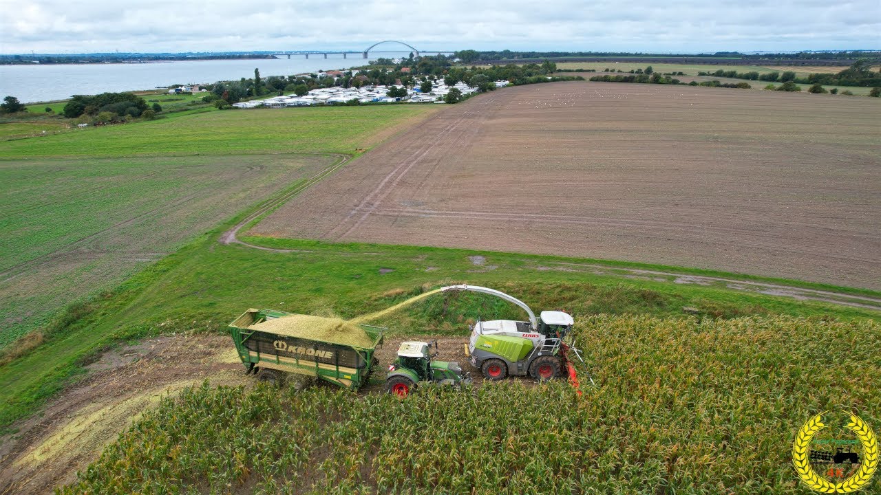 Maisernte auf Fehmarn 2022 / Claas Jaguar 970 / Kemper 390+ / LU Carsten Walkling / Fendt / Krone TX