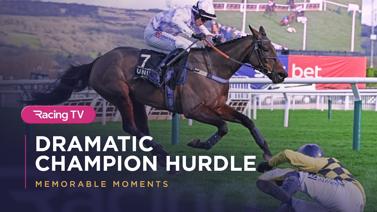 GOLDEN ACE lands dramatic Champion Hurdle as CONSTITUTION HILL & STATE MAN fall