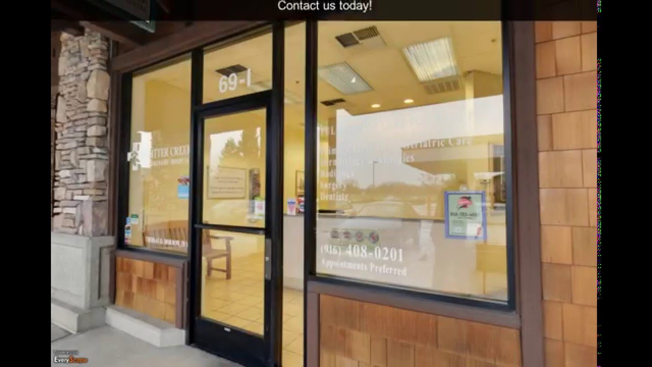 Critter Creek Veterinary Hospital | Lincoln, CA | Veterinarian