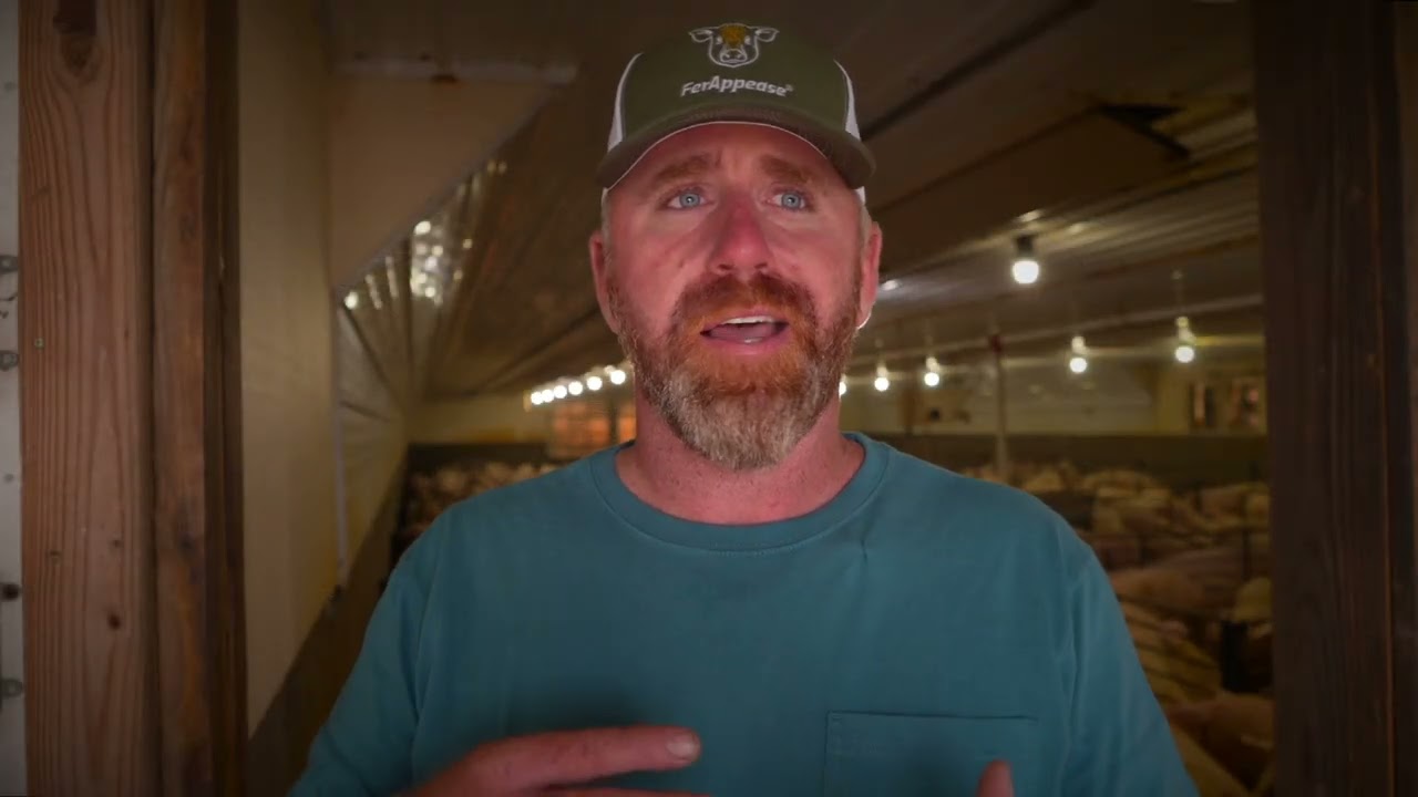🐖 FerAppease Swine: A Game-Changer for Wean-to-Finish Operations | Nick Dolezal&rsquo;s Success Story