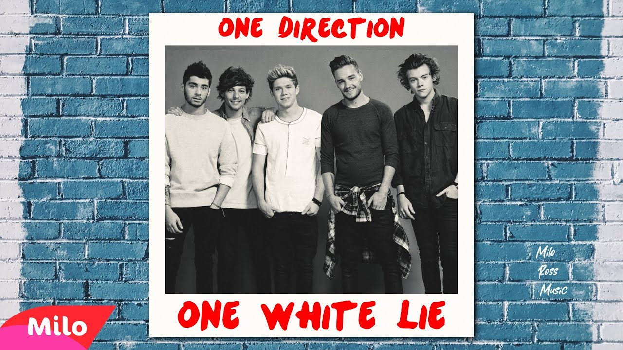 One White Lie (One Direction Mashup)