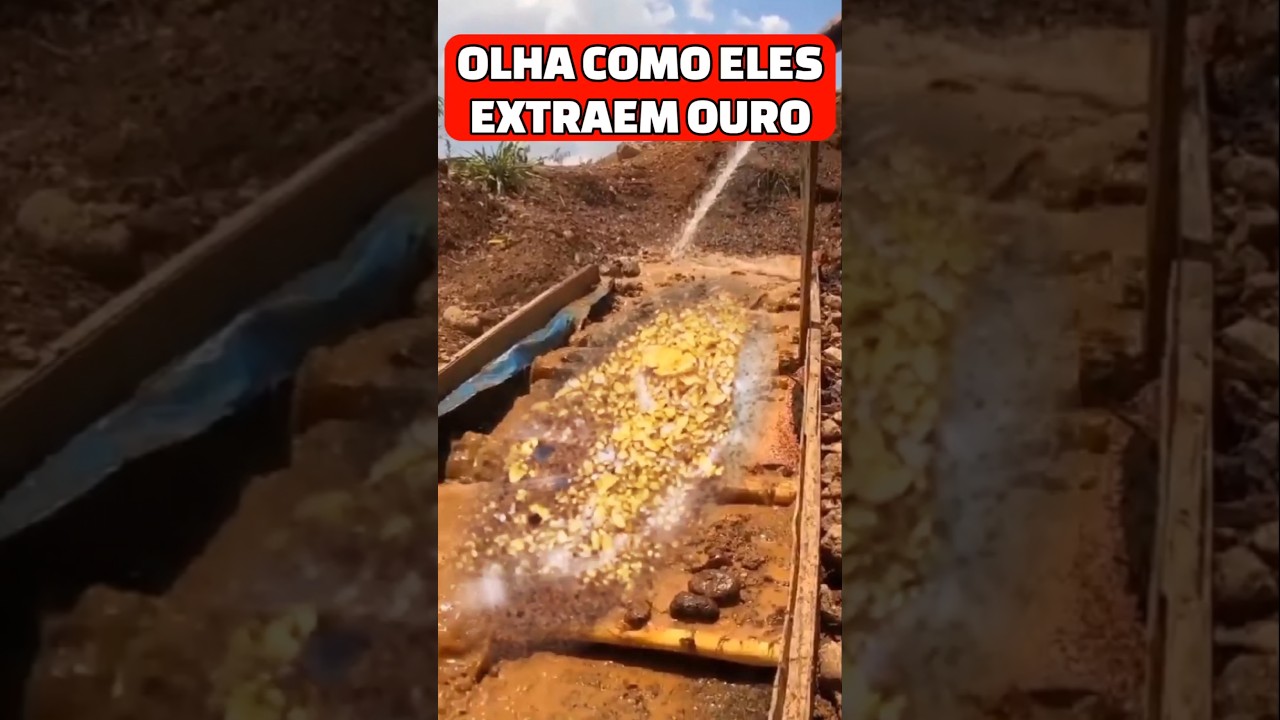OLHA COMO ELES EXTRAEM OURO #ouro #gold #garimpo #minerals #shorts