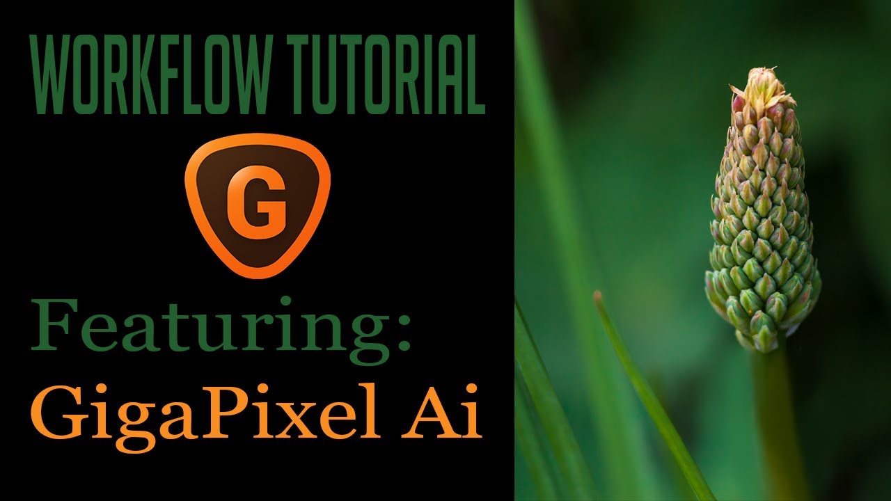 TOPAZ GIGAPIXEL AI: LR/Photoshop WORKFLOW TUTORIAL