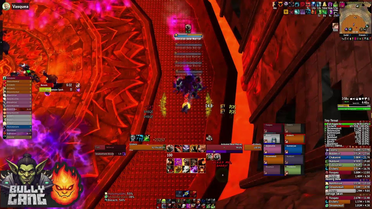 Proudmoore Cataclysm - 4th HC 10 Raids Day 2 - Feral OT PoV