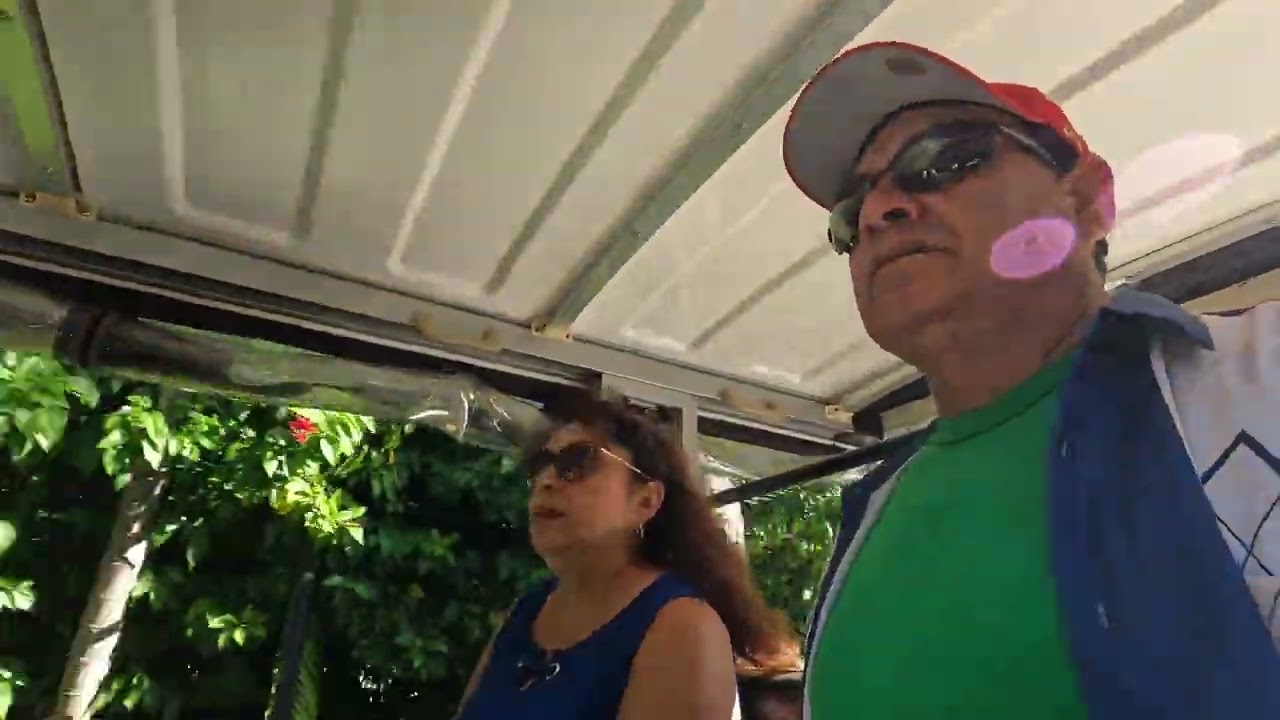 HOTEL Bahia Gran punta cana  youtube