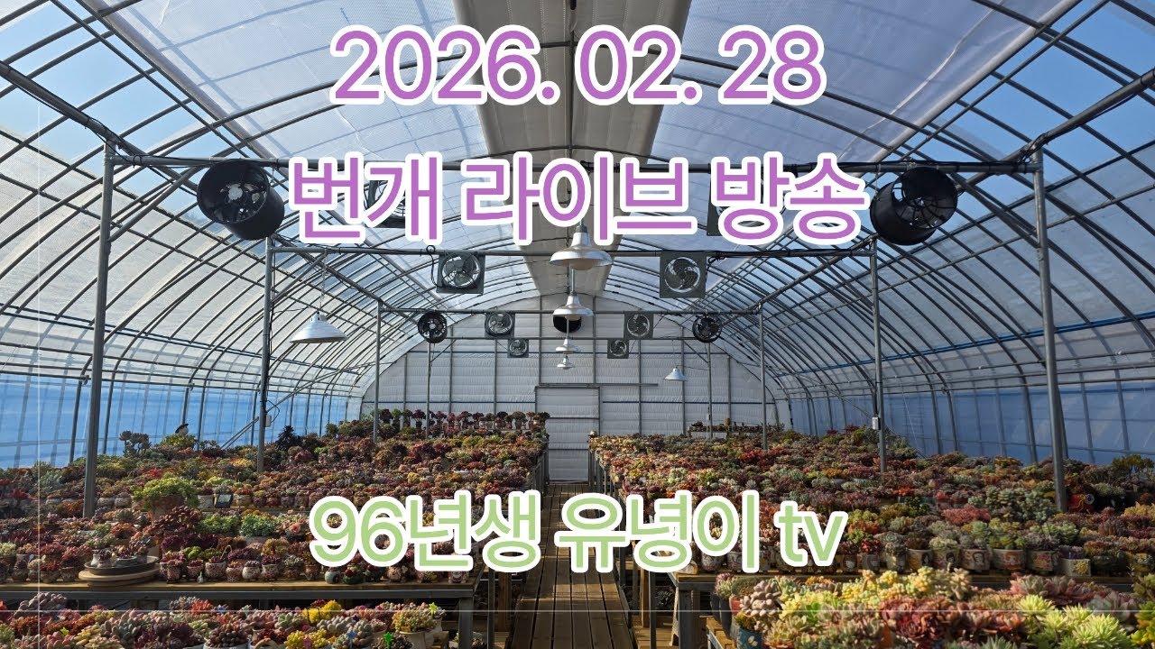 96년생 유녕이🌵🌵 2026. 02.28 번개라이브방송 #이쁜시여니다육tv