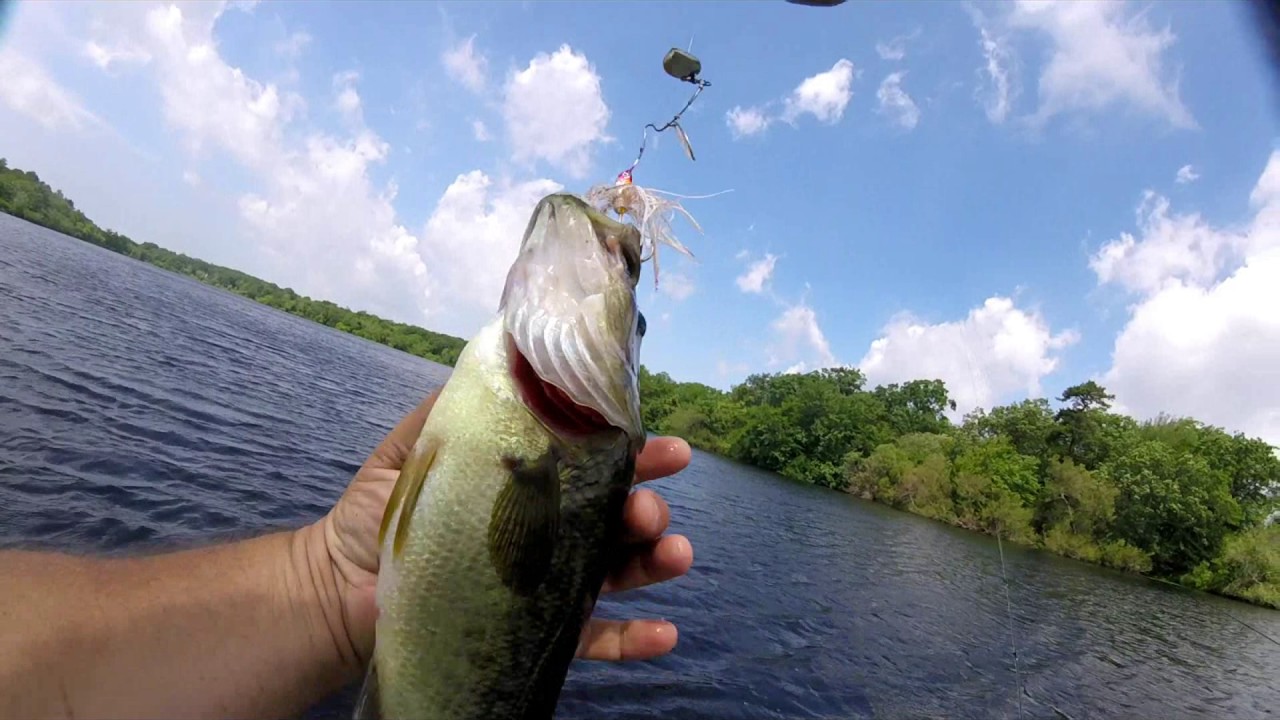 Freshwater Fishing Forge Pond Long Island