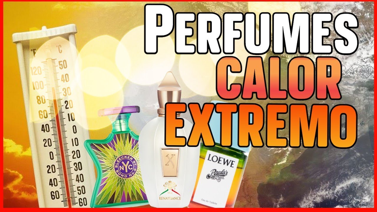 Perfumes para gozar en calor extremo || Diseñador y Nicho