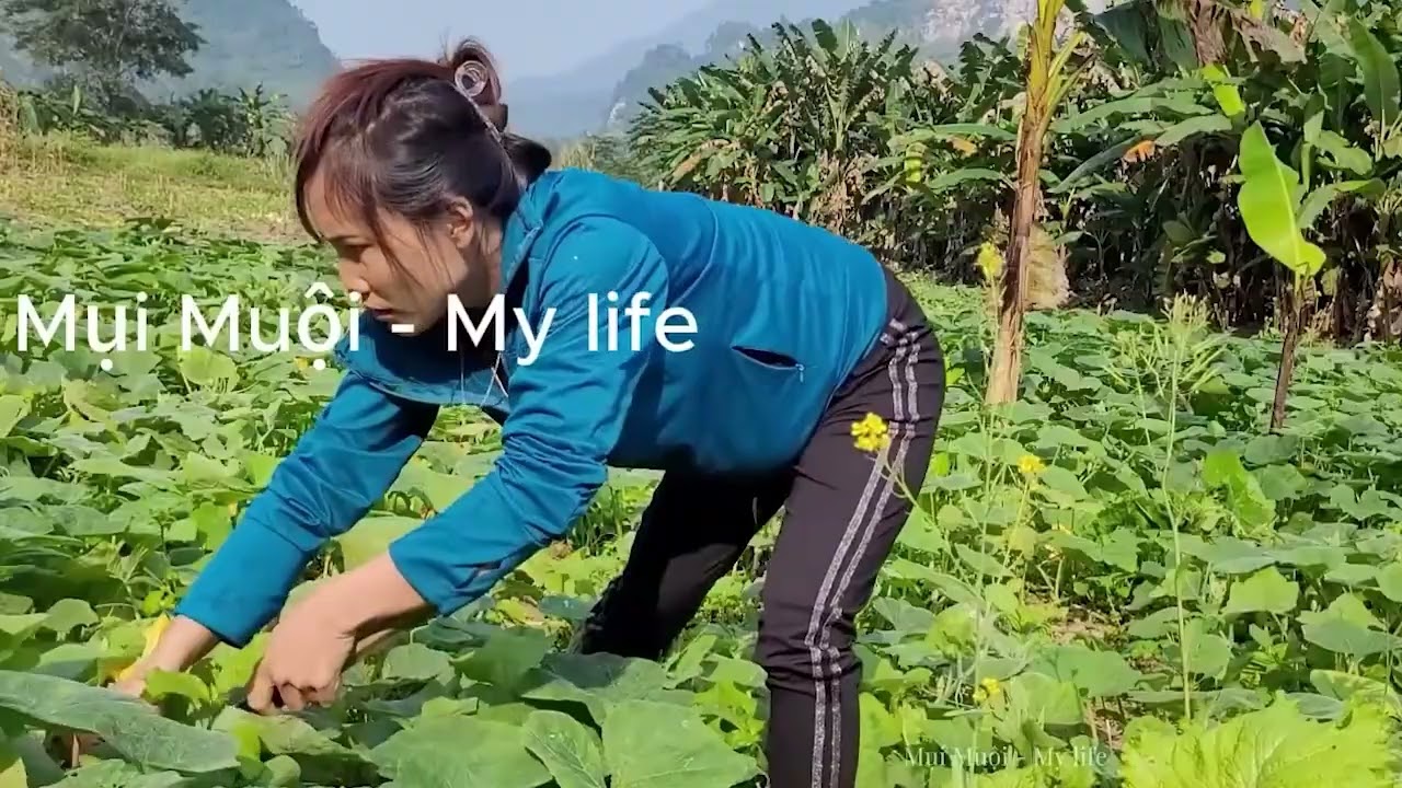 Harvesting vegetables for sale by a single mom