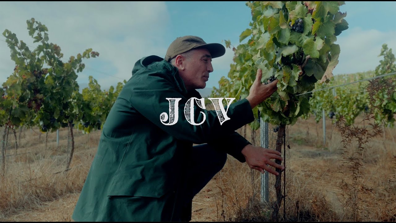 JCV
