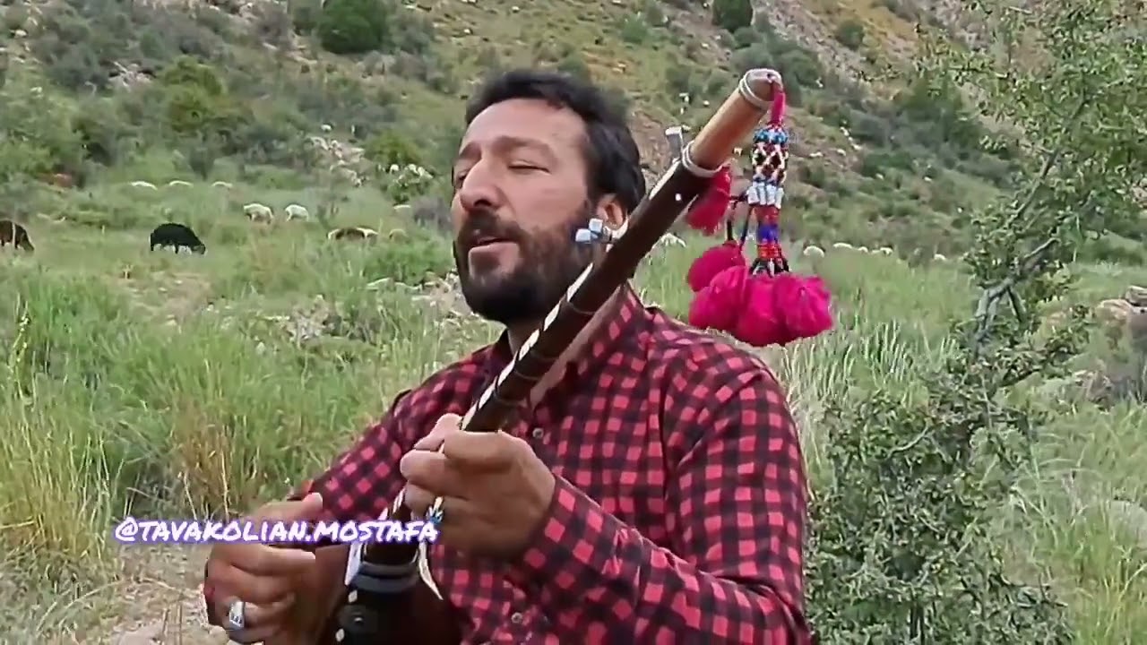 آهنگ شوان از مصطفی توکلیان به پیج اینستا سر بزنید @tavakolian.mostafa