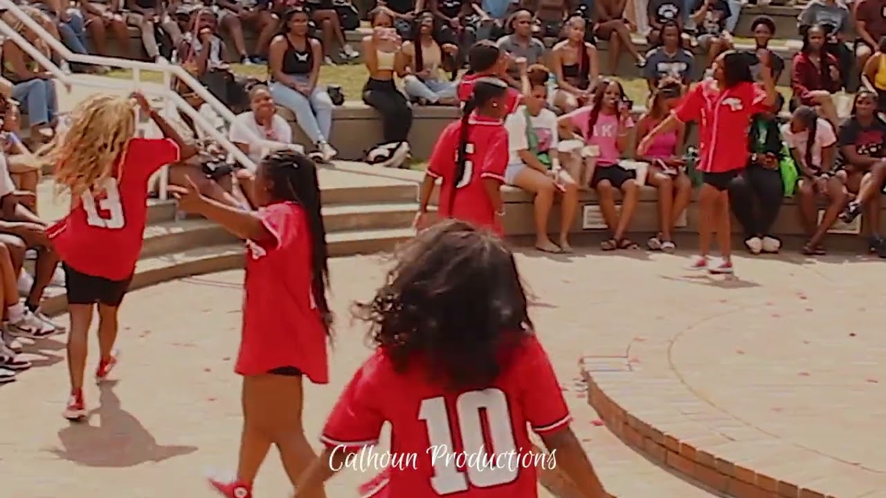 Alpha Chi Chapter of Delta Sigma Theta Sorority, Inc. @ Tennessee State University Yard Show 2022