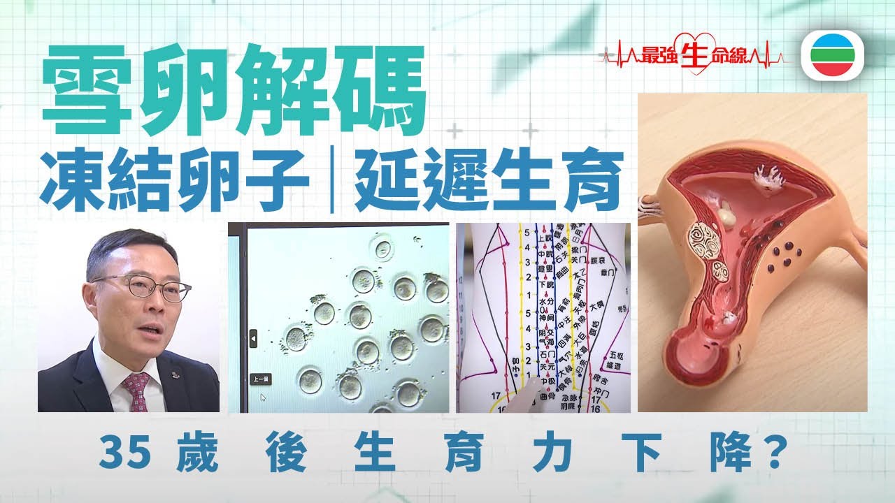 最強生命線｜雪卵解碼｜35歲後生育力下降？凍結卵子｜延遲生育｜醫療｜無綫新聞｜TVB News｜TVB