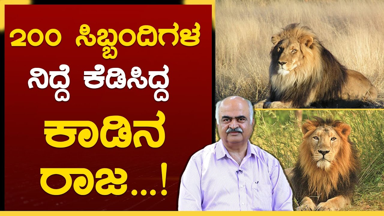 ಪ್ರಾಣಿಗಳೂ Depression ಗೆ ಹೊಗ್ತಾವಾ...? | Lions | H.C Kantharaju | DCF officer | GSS MAADHYAMA