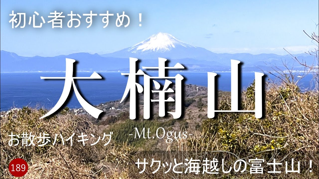 【登山】初心者おすすめ！サクッと海越しの富士山！　大楠山　前田橋バス停から大楠芦名口バス停