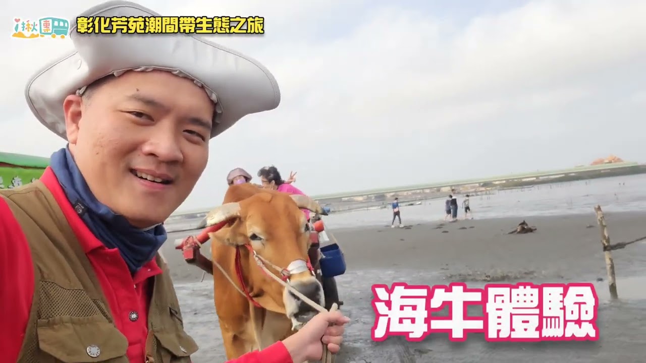 彰化旅遊|全台灣唯一芳苑海牛．搭牛車到潮間帶進行生態體驗之旅#i揪團遊台灣