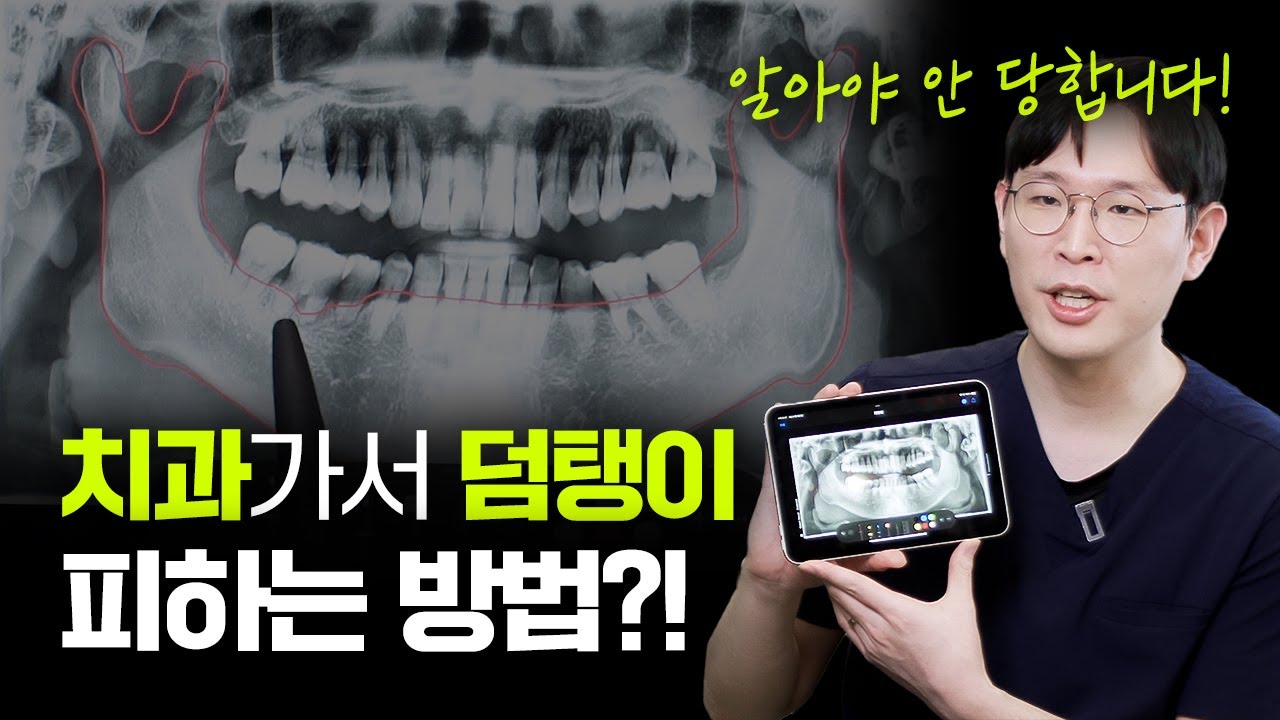 치과의사가 직접 알려주는 파노라마 엑스레이🦷 보는 방법