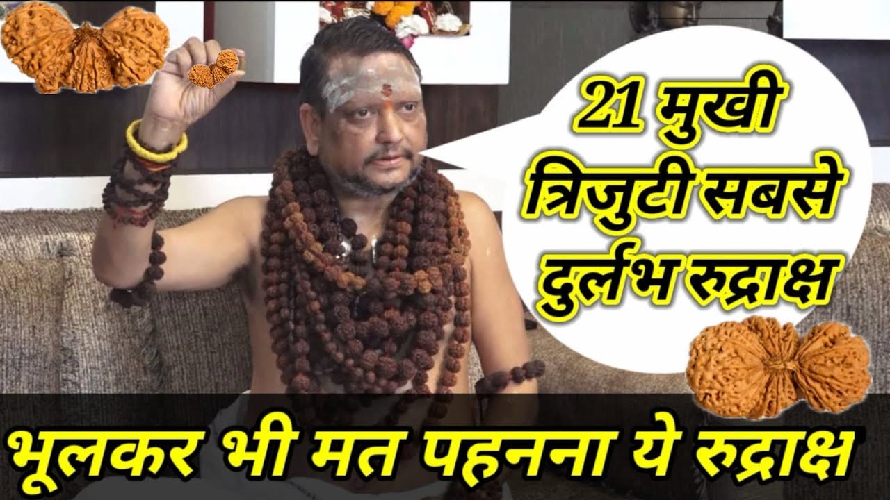 21 मुखी त्रिजुटी सबसे दुर्लभ रुद्राक्ष ।दुनिया के सबसे महंगे दुर्लभ रुद्राक्ष#haridwar