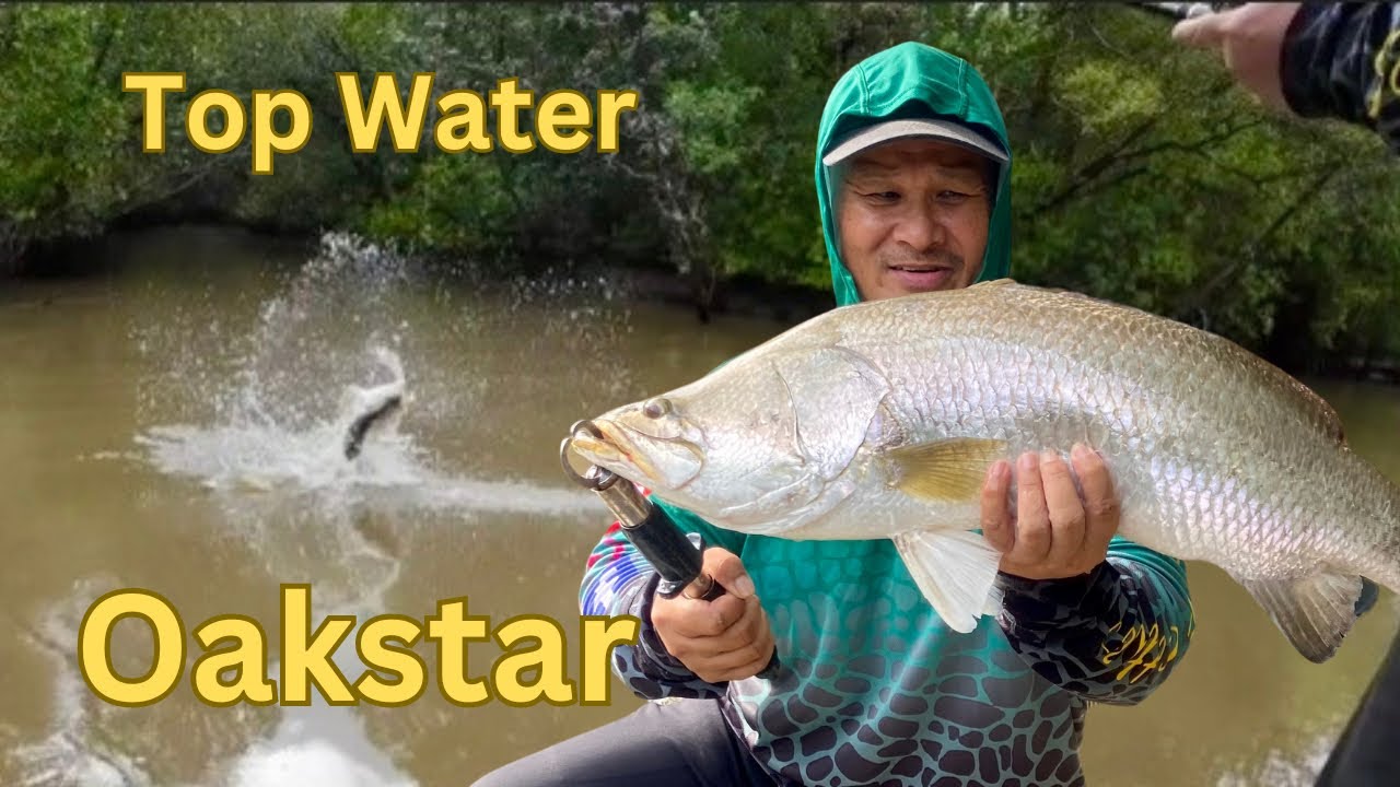 Top Water Barra Action with OAKSTAR NT Fishing