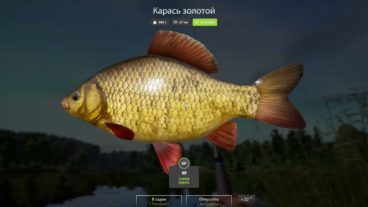 Russian Fishing 4 Поиск рыбы