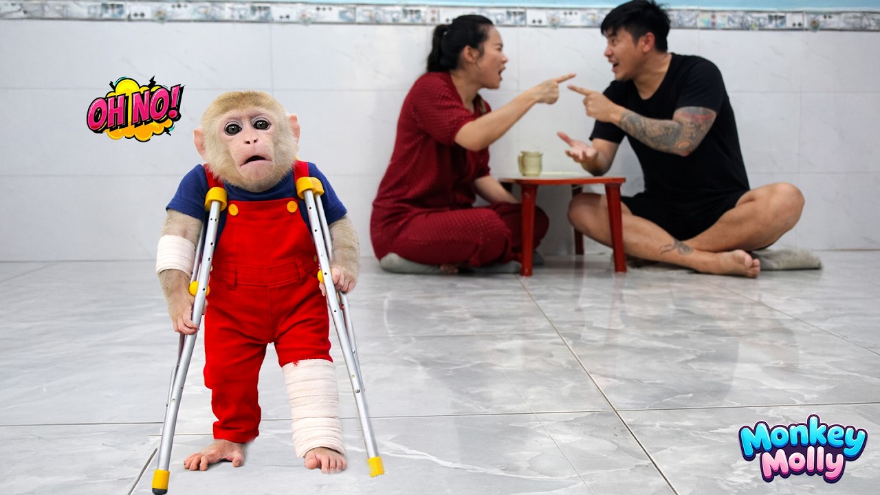 The long arguments between her parents leave Monkey Molly exhausted — a sad story of Molly
