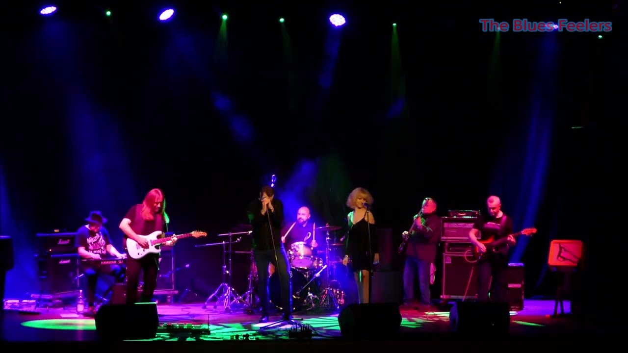 Asfaltowe Łąki - The Blues Feelers (Grupa ABC cover)