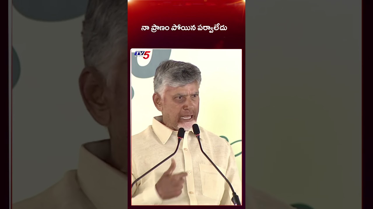 Chandrababu Naidu Emotional Comments | AP News | TV5 News
