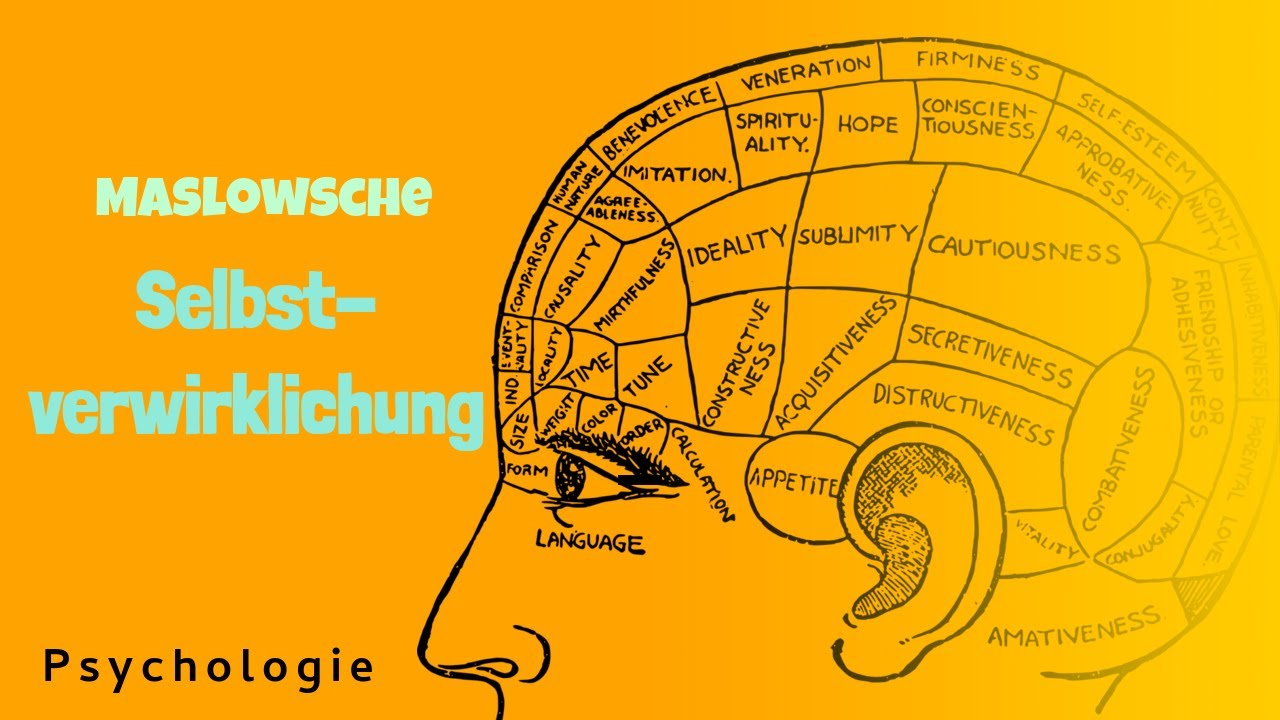 Selbstverwirklichung nach Abraham Maslow 👨&zwj;🎓 Maslowsche Bed&uuml;rfnishierachie 🥺 Stufe 5 Abitur P&auml;da