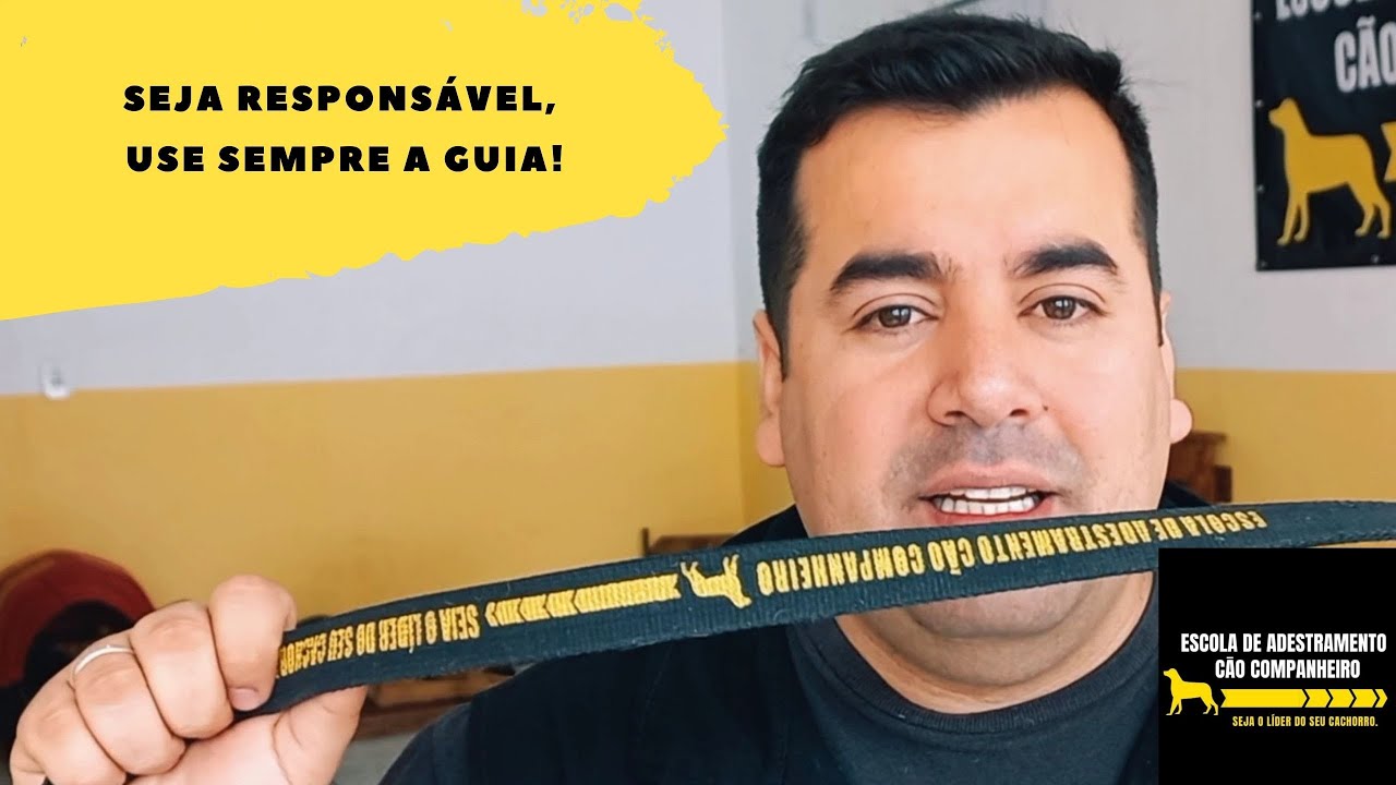 Seja responsável, use sempre a guia!
