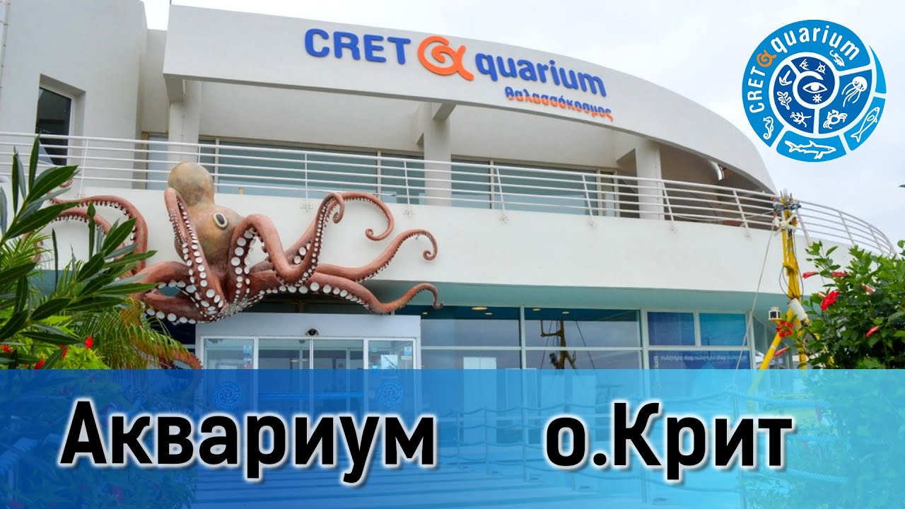 АКВАРИУМ Греция | о.Крит | the Best Crete Aquarium #aquarium #crete #greece #best