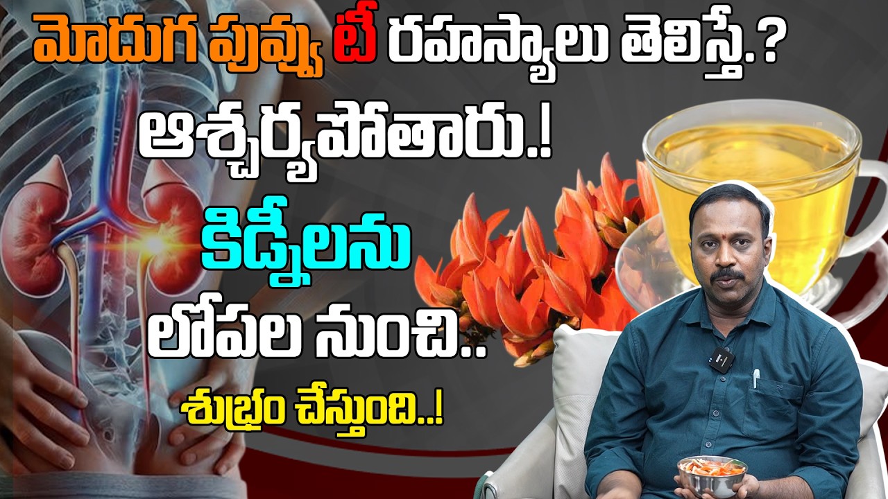 🌸మోదుగ పువ్వు టీ కిడ్నీలను శుభ్రం చేస్తుంది.! || T.v.sudhakara reddy || Ayurvedic doctor ||