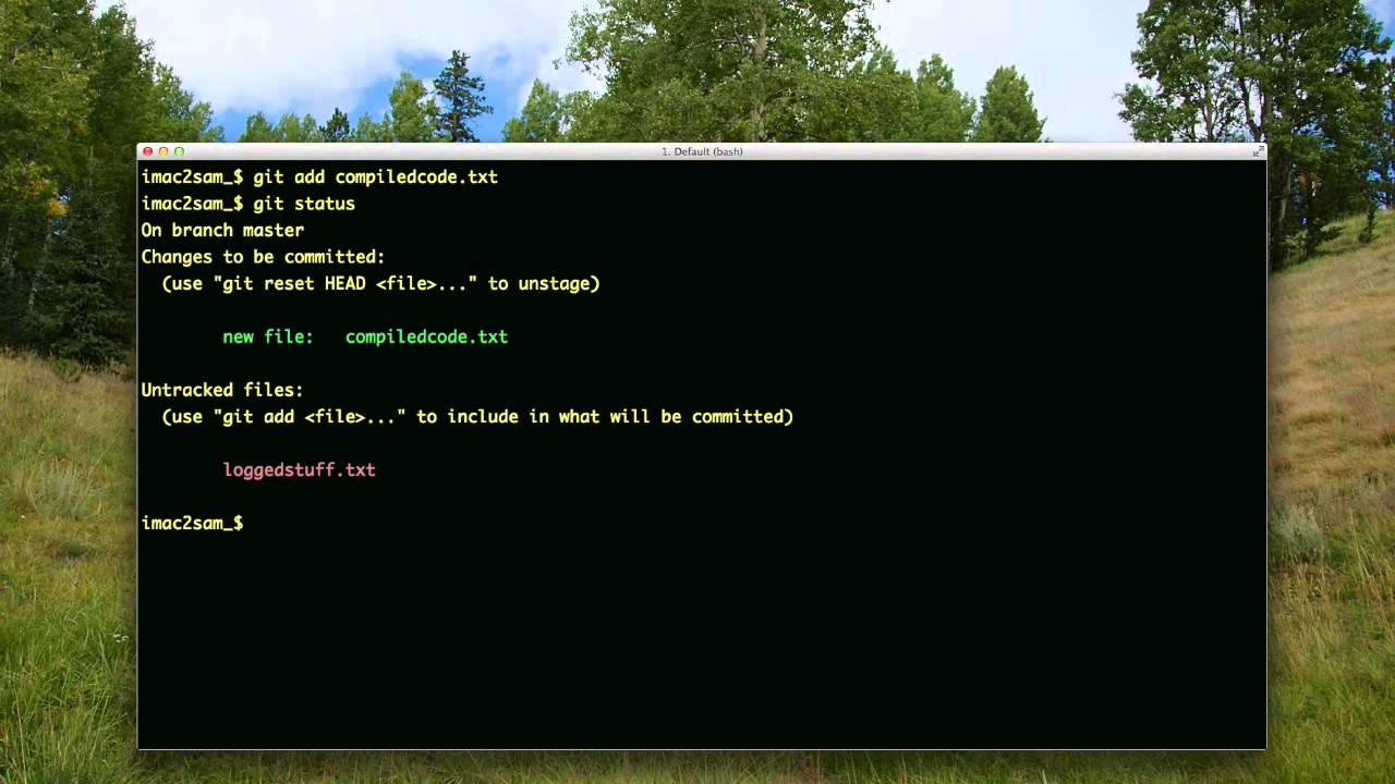 Clean Up the Project Source Code by Removing Untracked Files